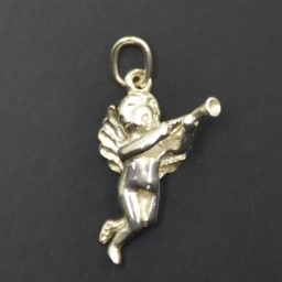 SPD6 - Stříbrný přívěs